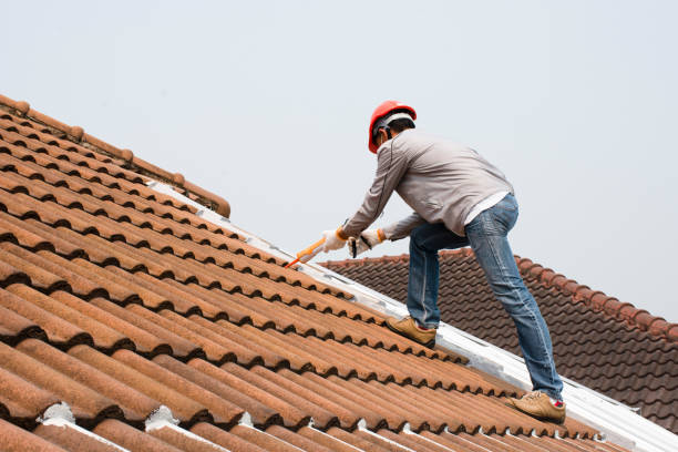 Reliable Jesup, IA Roofing services Solutions