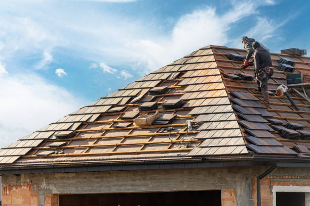 Best Asphalt Shingles Roofing  in Jesup, IA