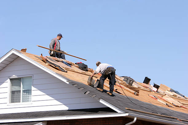 Best Solar Panel Roofing Installation  in Jesup, IA